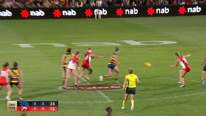 AFLW_028212539_H_10000_20231118_130357.jpg.b995e4c075a396aa646bc93a06eb1e6c.jpg