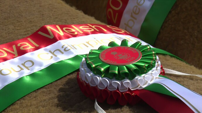 Royal Welsh Show ENC 1_20260723220805