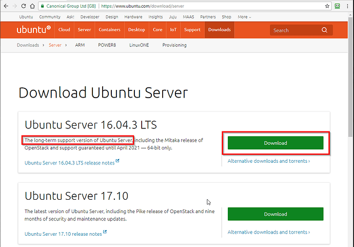 01-download_ubuntu_server.png.758a3e0b1f2763cdda229e69b4118875.png