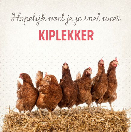 beterschap.png.80ef787d2ca6ad2fd7905c4029841fde.png
