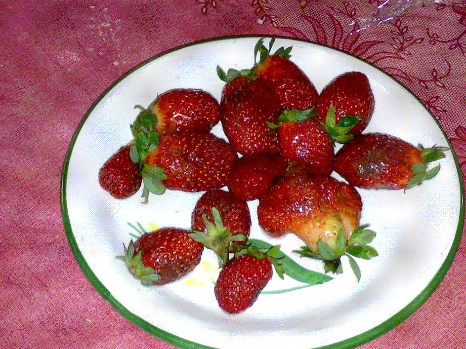 post-8198-1318260132,1662.gif