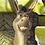 SatDonkey